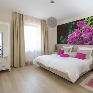  Apartment Renatus